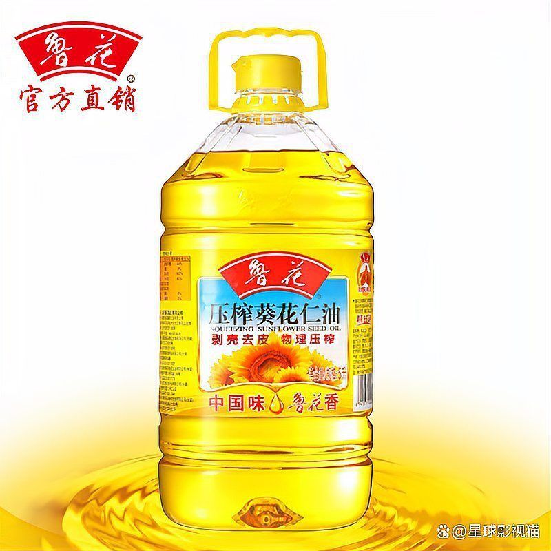 金龍魚十大名牌排行榜