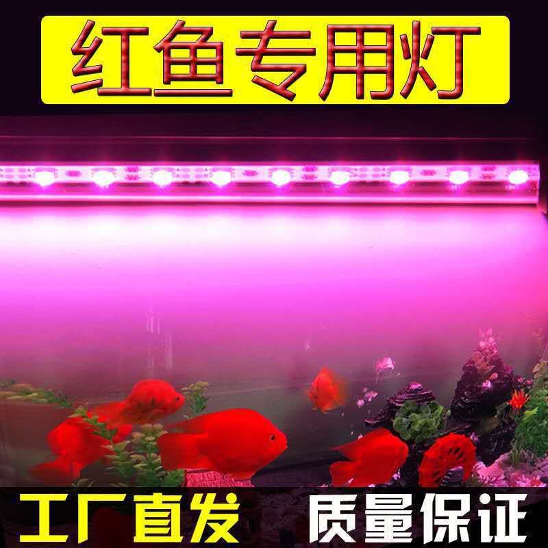 紅龍燈具的價格范圍是多少？