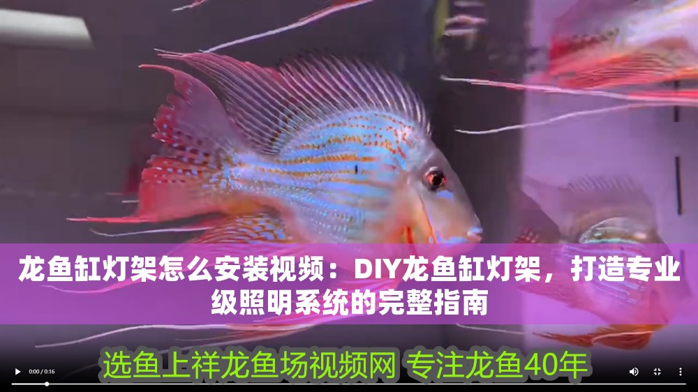 龍魚缸燈架怎么安裝視頻：DIY龍魚缸燈架，打造專業(yè)級照明系統(tǒng)的完整指南