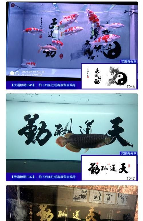 龍魚(yú)缸背景圖選擇圖片大全