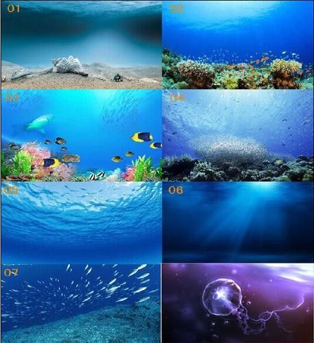 龍魚(yú)缸背景圖選擇圖片大全