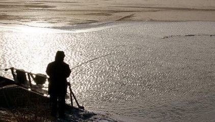 龍魚兩天喂一次可以嗎：龍魚兩天喂一次的科學喂養指南