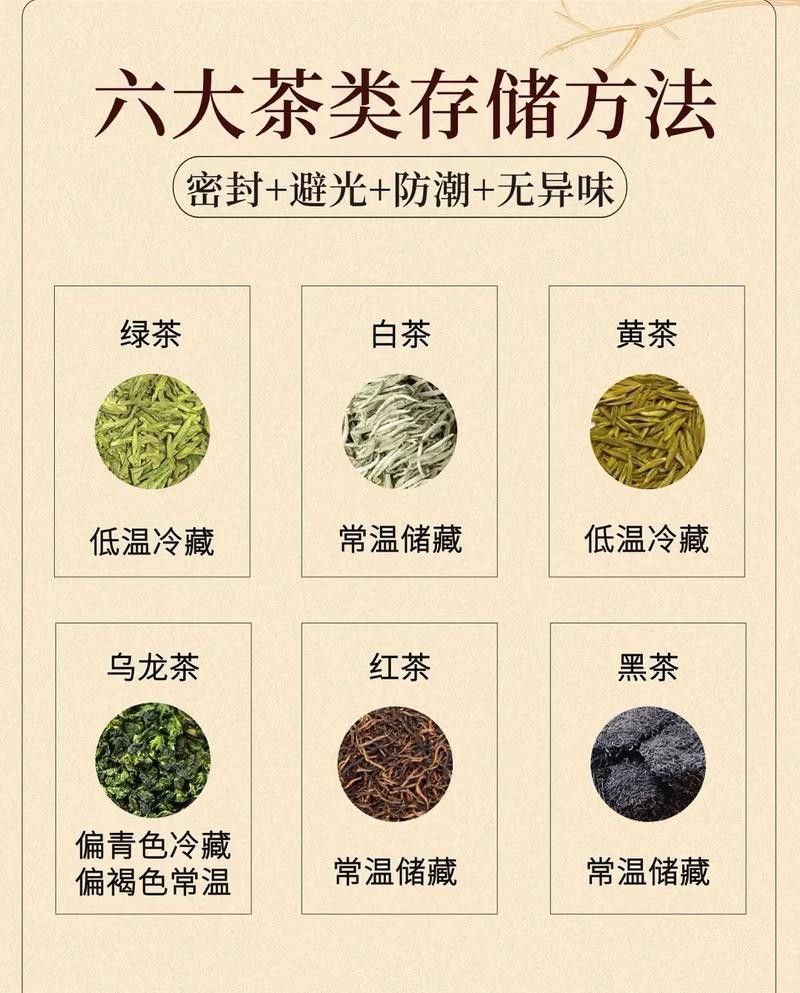 哪種保存方法效果最好？