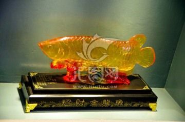 金龍魚用什么色的燈好？：金龍魚用什么色的燈好