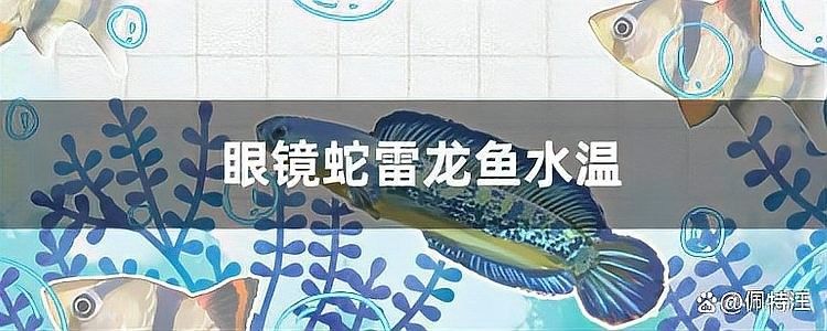 雷龍魚適合水溫多少度過冬