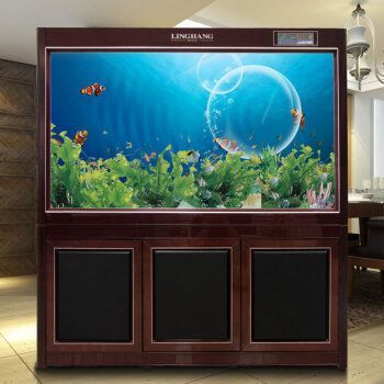 龍魚缸內(nèi)可以放置什么裝飾（龍魚缸內(nèi)水草種植技巧）