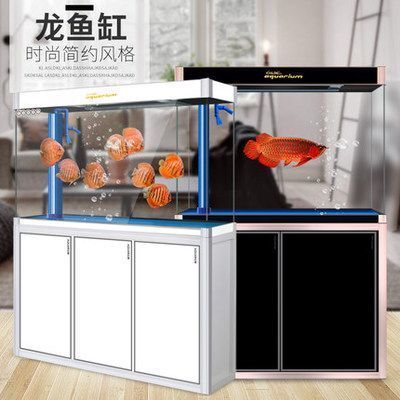 龍魚缸內(nèi)可以放置什么裝飾（龍魚缸內(nèi)水草種植技巧）