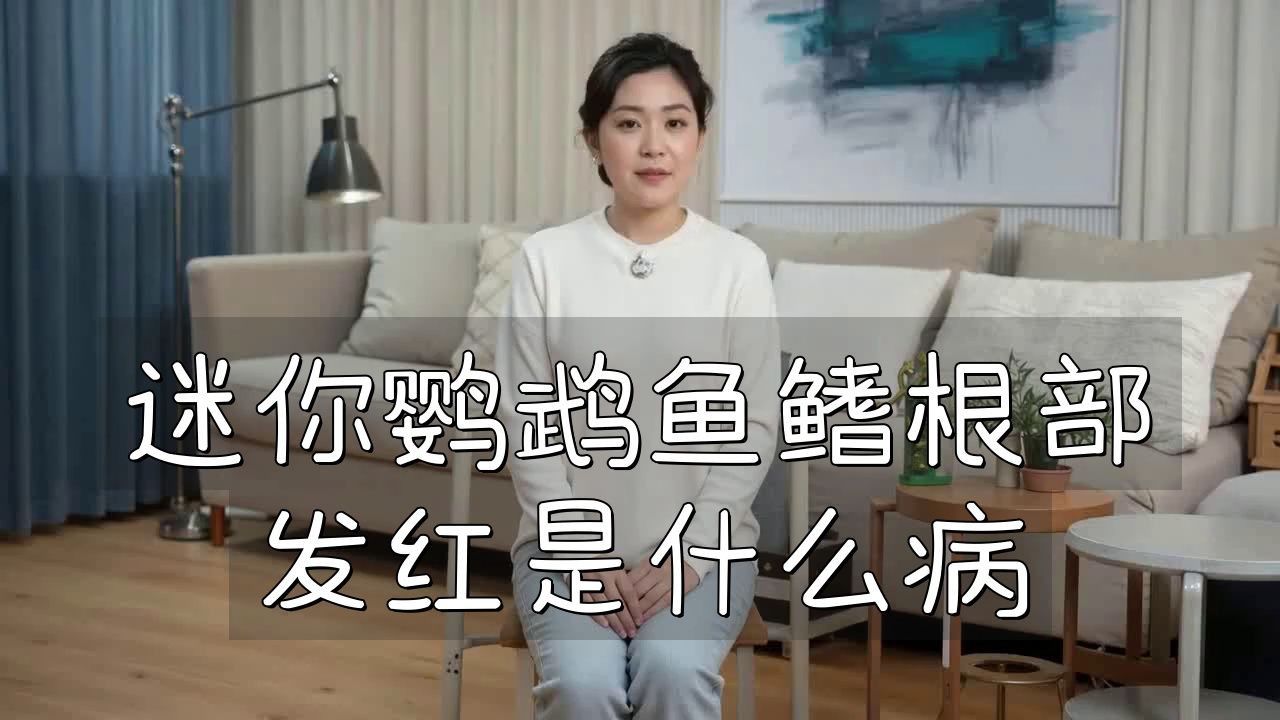 如何判斷魚鰭根部紅腫充血的嚴(yán)重程度？