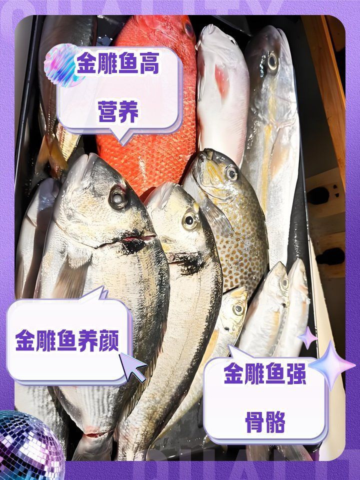 金雕魚的功效與作用