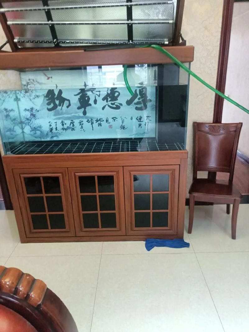 自制龍魚缸圖片大全集