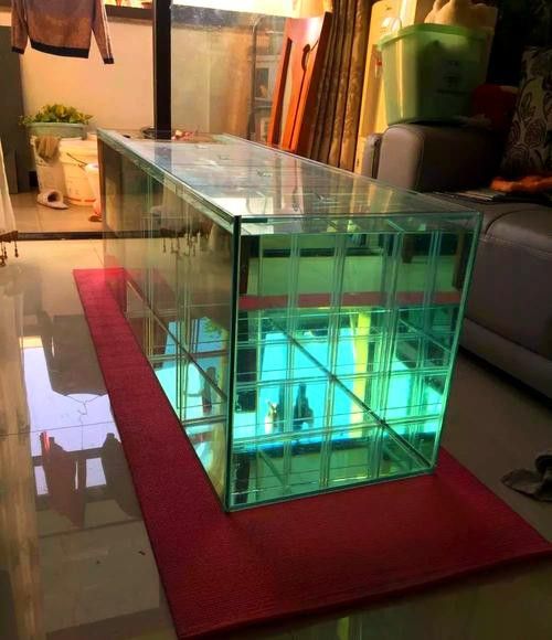 自制龍魚缸圖片大全集