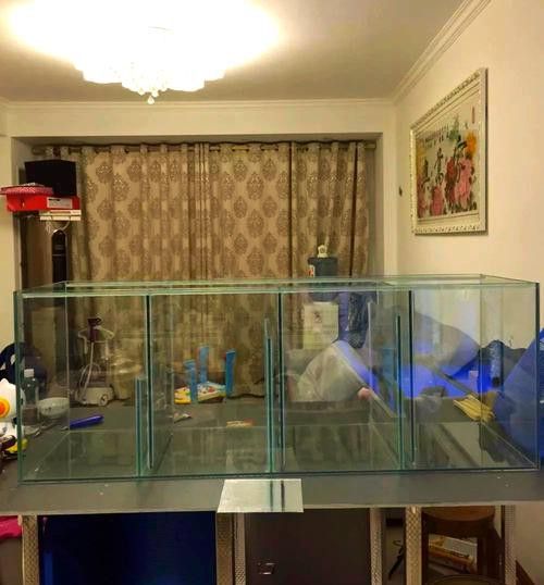 自制龍魚缸圖片大全集