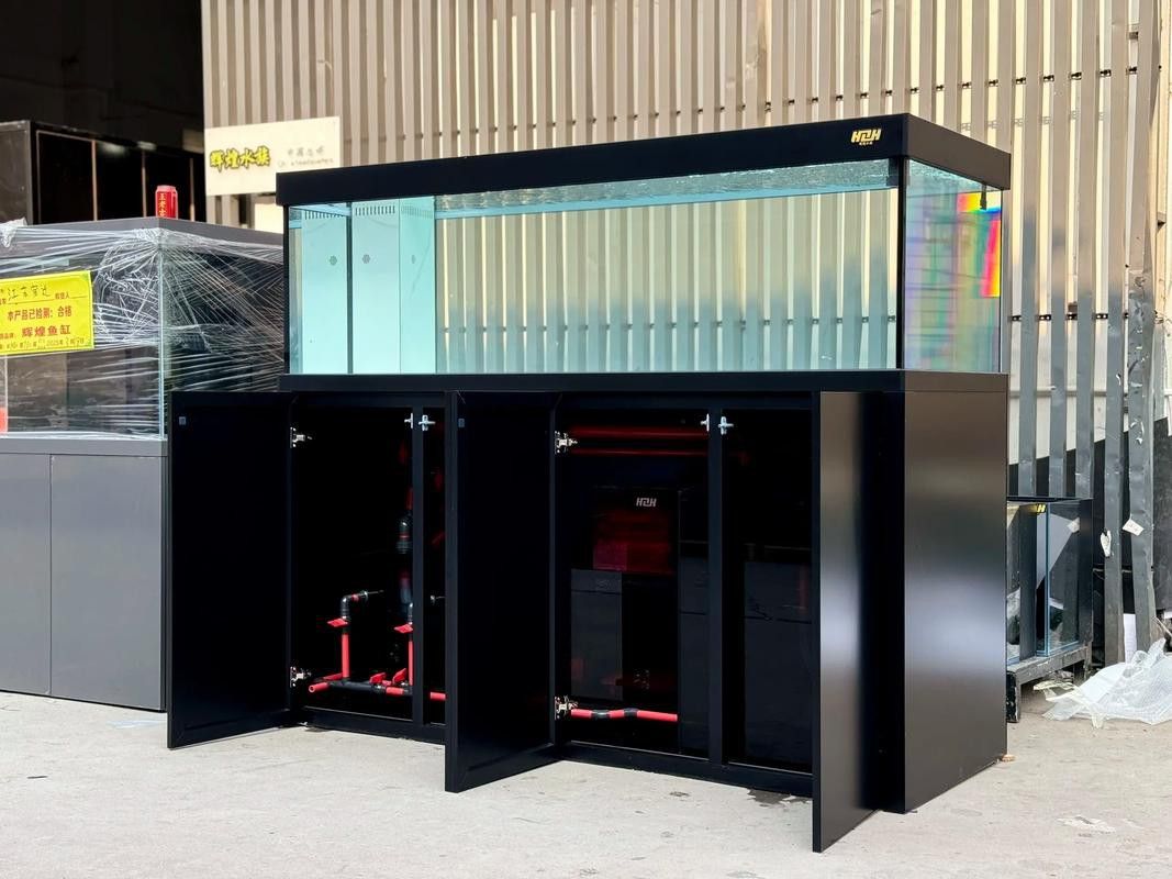 自制龍魚缸圖片大全集