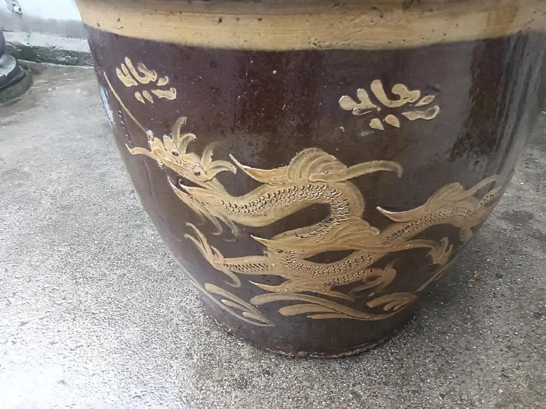 自制龍魚缸圖片大全集