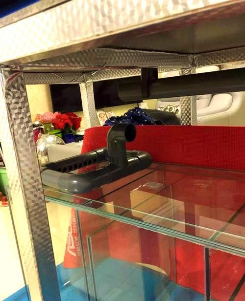 自制龍魚缸圖片大全集