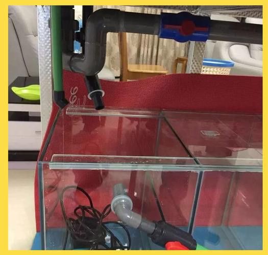 自制龍魚缸圖片大全集