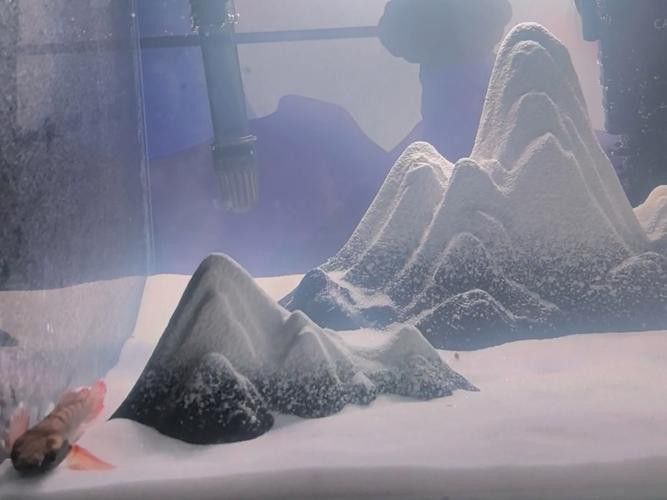 自制龍魚缸圖片大全集