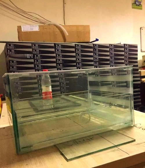 自制龍魚缸圖片大全集