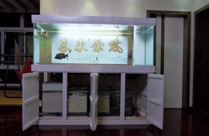 自制龍魚缸圖片大全集