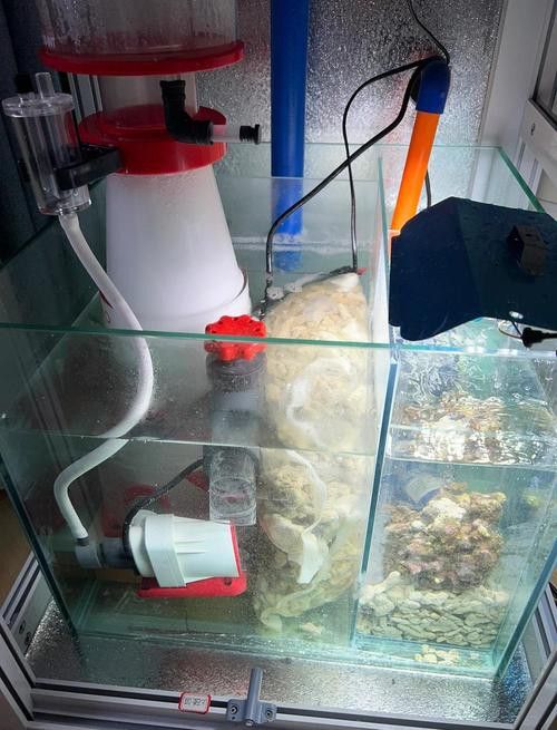 自制龍魚缸圖片大全集