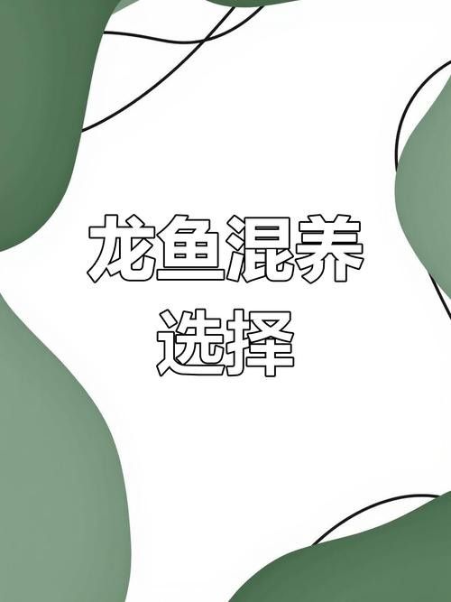 鯊魚可以和金龍魚混養嗎圖片