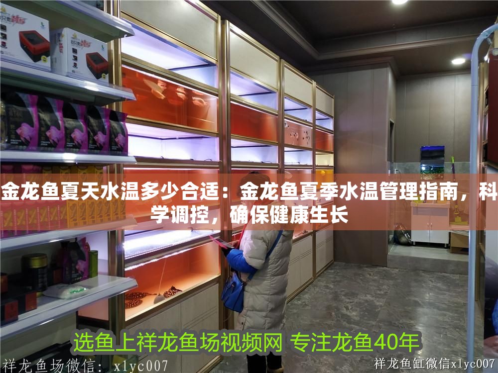 金龍魚夏天水溫多少合適：金龍魚夏季水溫管理指南，科學(xué)調(diào)控，確保健康生長(zhǎng)