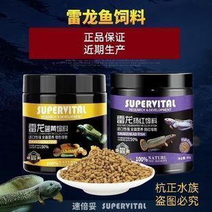 雷龍魚食：雷龍魚專用飼料品牌推薦