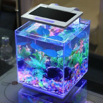 森森魚缸如何拆卸（魚缸清潔工具推薦魚缸包邊膠水去除技巧）