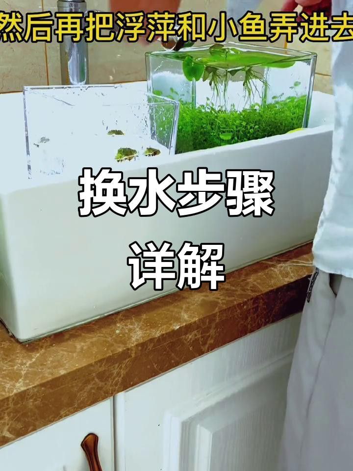 恢復(fù)期間需要換水嗎？
