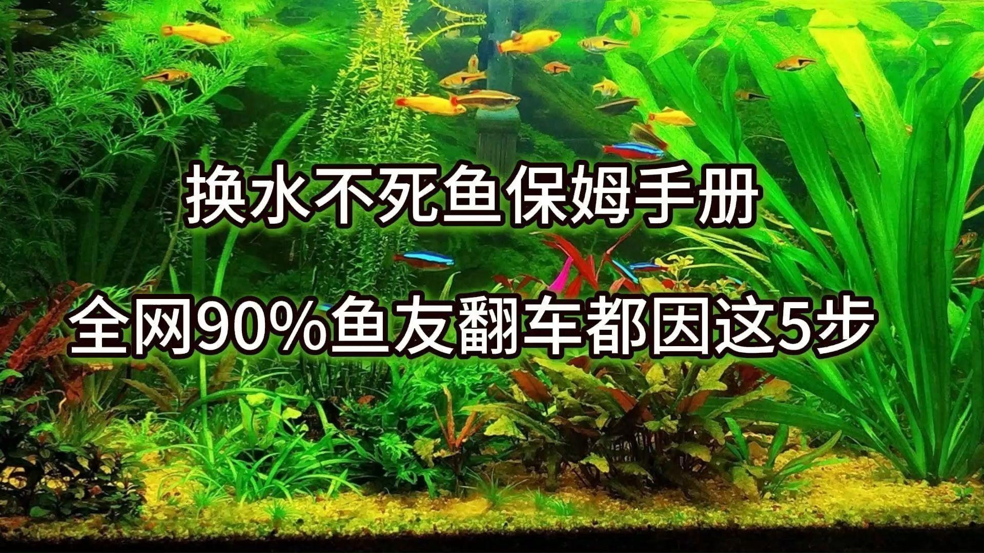 恢復(fù)期間需要換水嗎？