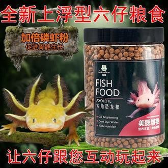 恐龍魚喂食視頻播放