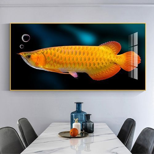 手機壁紙龍魚圖片大全可愛 手機壁紙龍魚圖片大全可愛 龍魚百科 第31張
