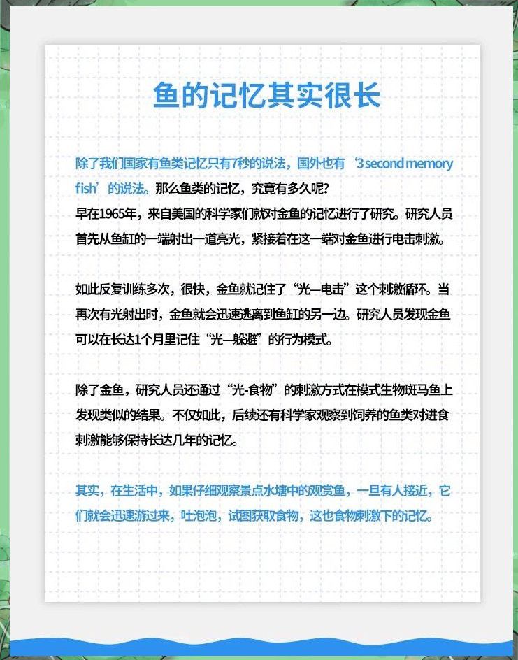 紅龍魚能記住多久的信息？