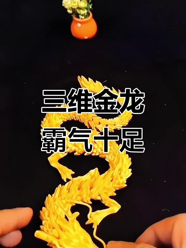 龍魚缸里放什么擺件好