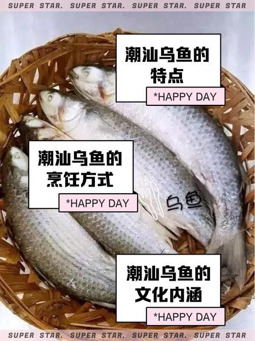 烏龍魚是什么魚圖片大全集