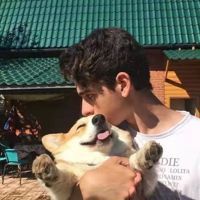 龍魚一般一只多少元