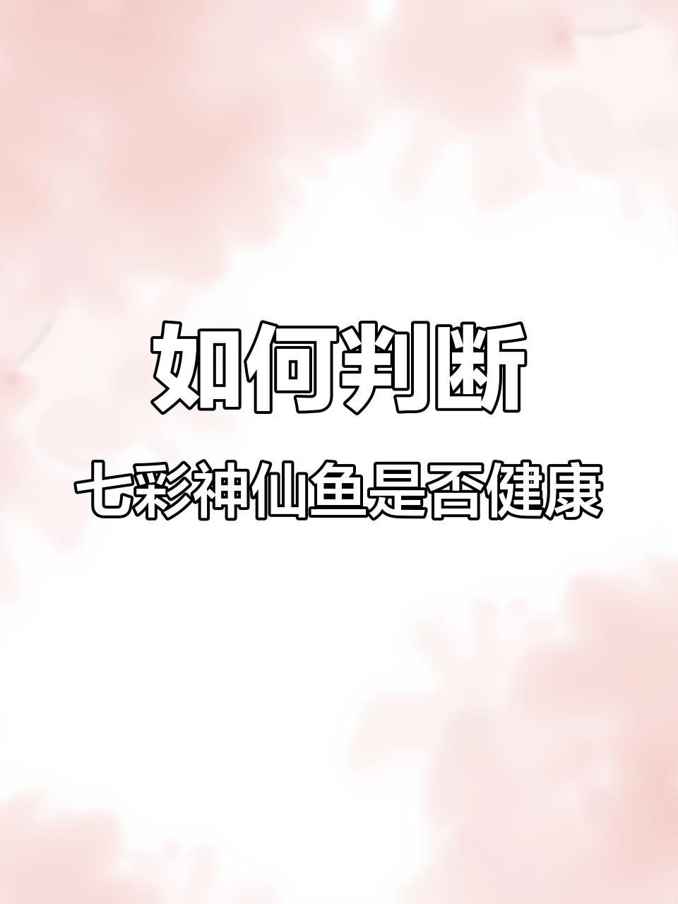 如何判斷七彩龍魚是否健康？