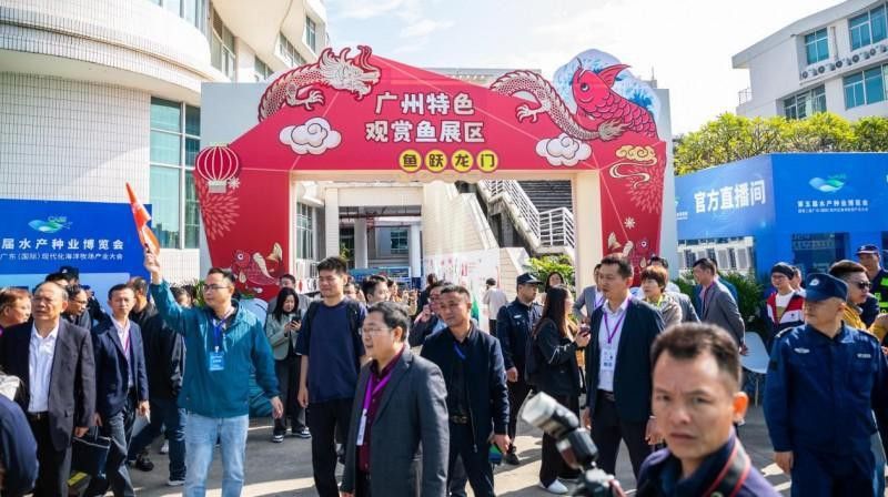 廣州龍魚漁場怎么樣收費