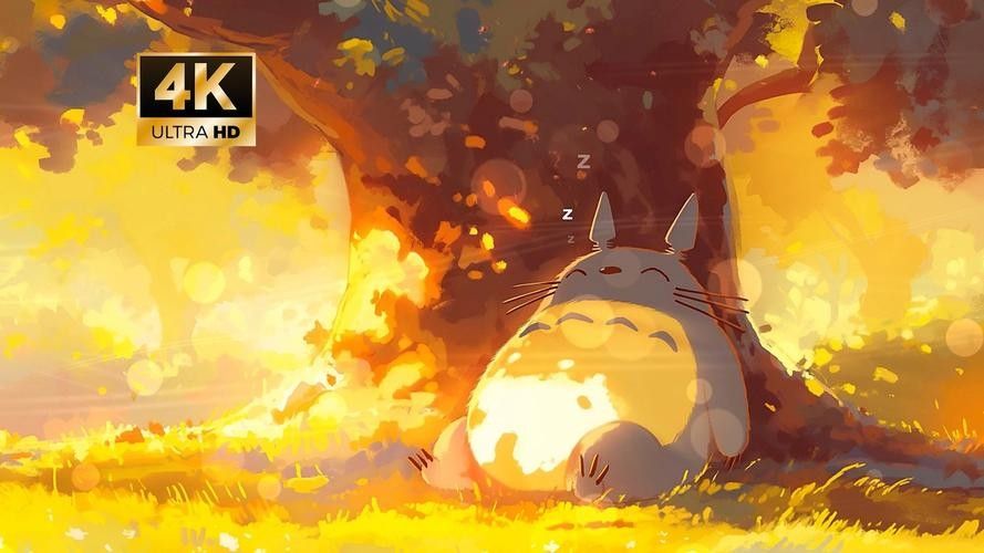 龍貓晚上叫了怎么辦？