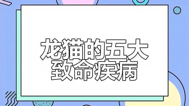龍貓晚上叫了怎么辦？