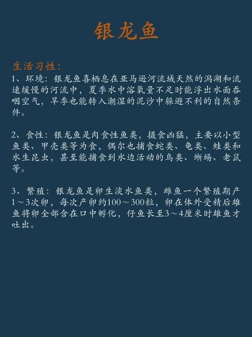 銀龍魚(yú)飼養(yǎng)注意事項(xiàng)有哪些圖片