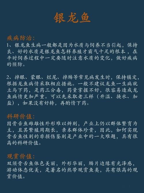 銀龍魚(yú)飼養(yǎng)注意事項(xiàng)有哪些圖片