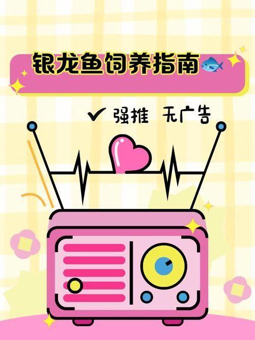 銀龍魚(yú)飼養(yǎng)注意事項(xiàng)有哪些圖片