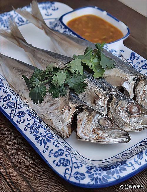 巴龍魚是什么魚
