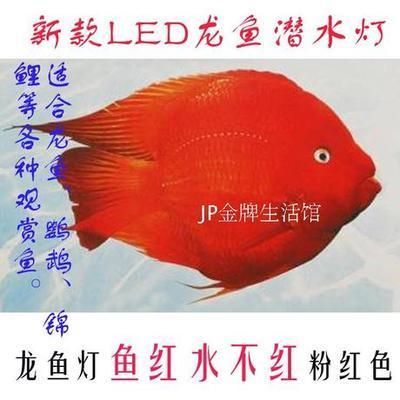 紅龍魚缸燈的選擇：紅龍魚缸燈的種類豐富多樣，常見的有以下幾種
