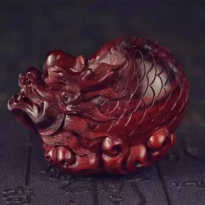 什么龍魚什么四字成語（“什么龍魚什么”四字成語）