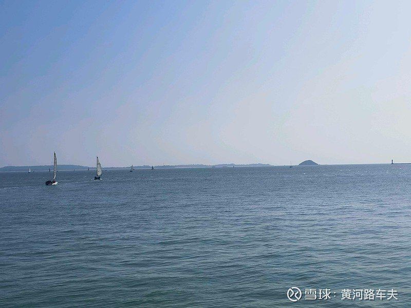 鯨與它十年暗示分手嗎