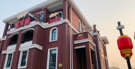 金龍魚爛尾后怎么樣就是好了【金龍魚爛尾后怎么辦】