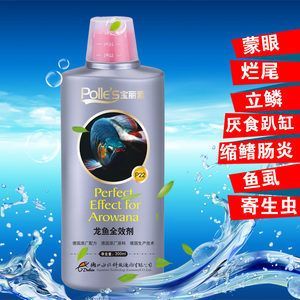 金龍魚爛尾后怎么樣就是好了【金龍魚爛尾后怎么辦】