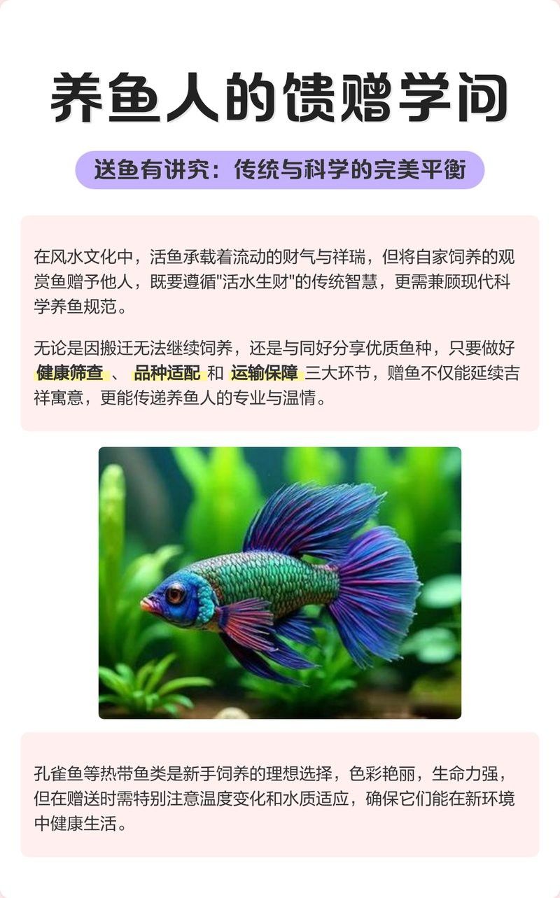如何降低金龍魚幼苗的運輸風險？